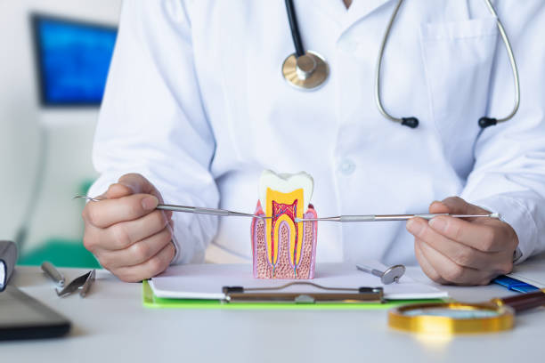 Best Emergency Root Canal Treatment in Newark, OH